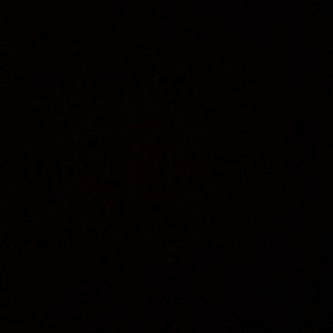 Meet your Posher, Gracie